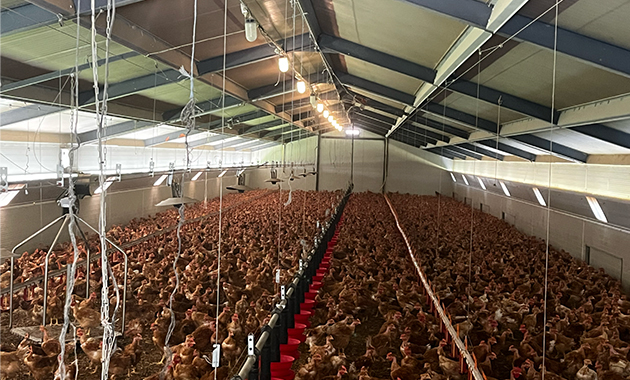 Etude comparative système de filtration d'eau agricole Biolisme.