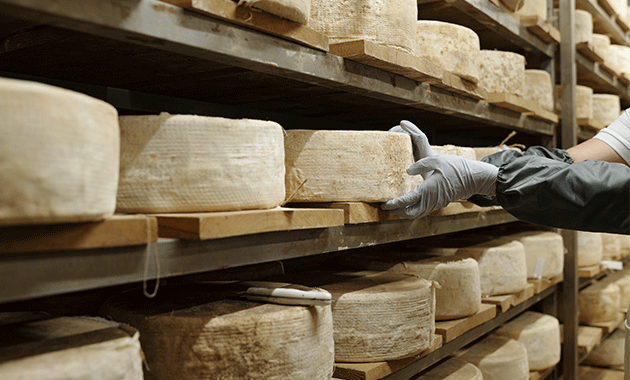 Système de filtration de l'eau pour fromageries