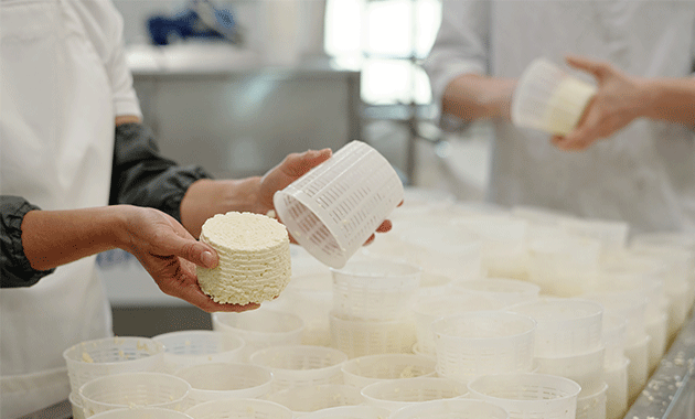 Impact de la qualité de l'eau dans la fabrication du fromage