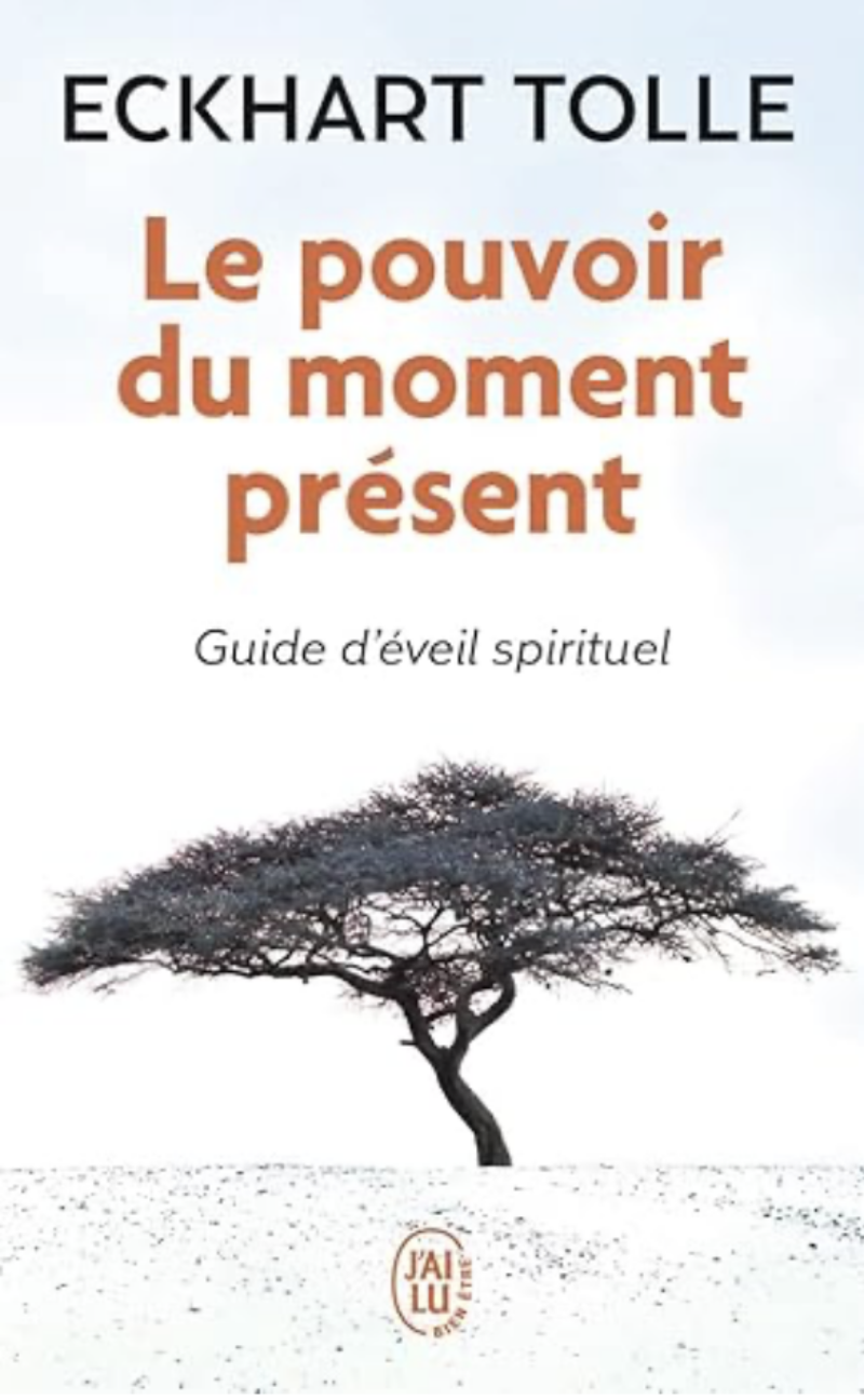 Le pouvoir du moment présent